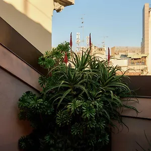 Straf, Milan, A Member Of Design מילאנו